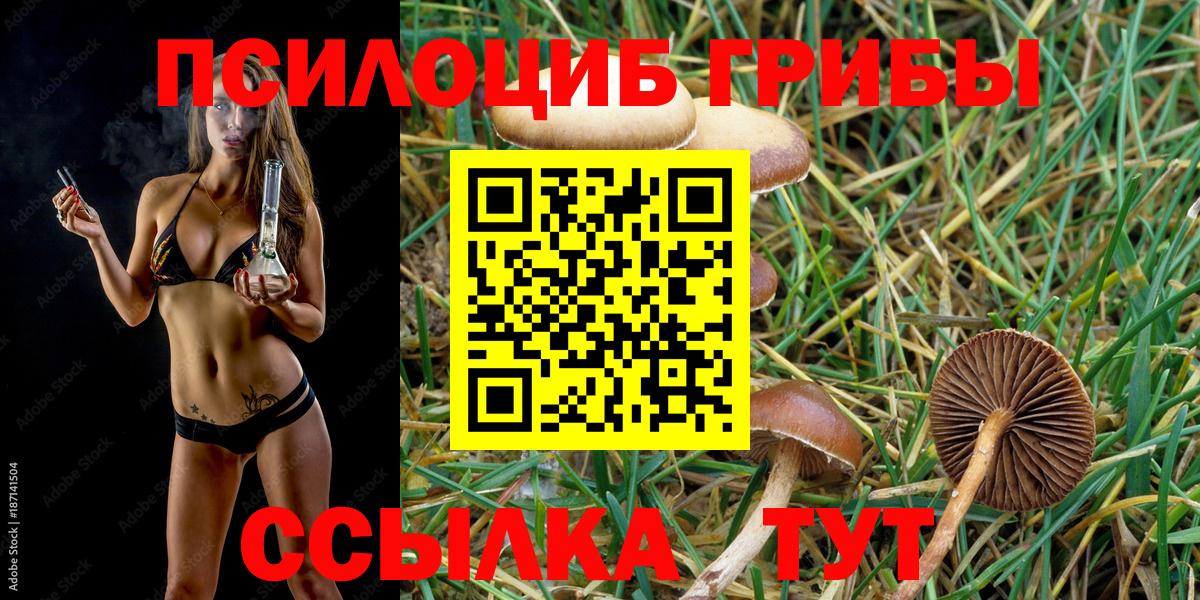 Грязи  Псилоцибиновые грибы Magic Shrooms  Вход с VPN  Псилоцибиновые грибы Cubensis 